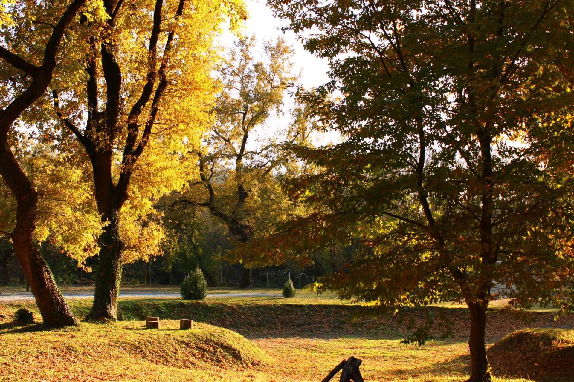 Kvareli Oaks Экстерьер фото